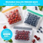 A clear, multicolor set of Anelueeoo reusable freezer bags, including gallon, sandwich, and snack sizes, with various foods i